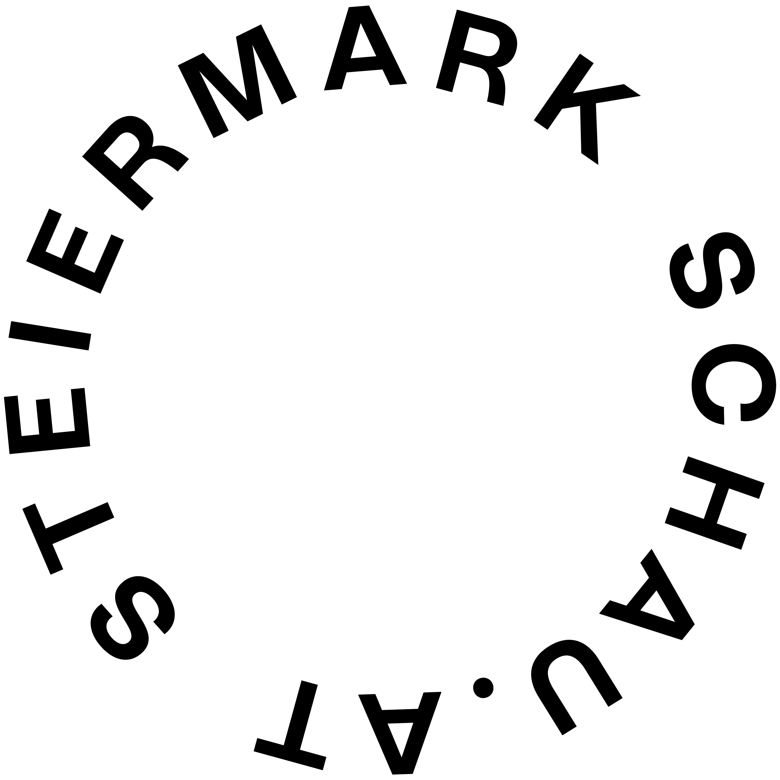 Steiermark Schau